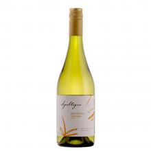 Vinho Apaltagua Chardonnay Gran Verano 750 ml
